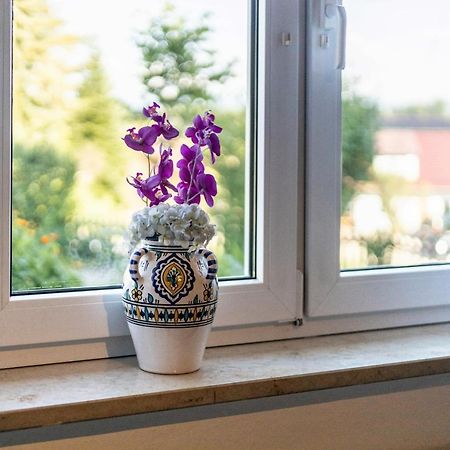 Apartmán Jung 1 Neukirch  Exteriér fotografie