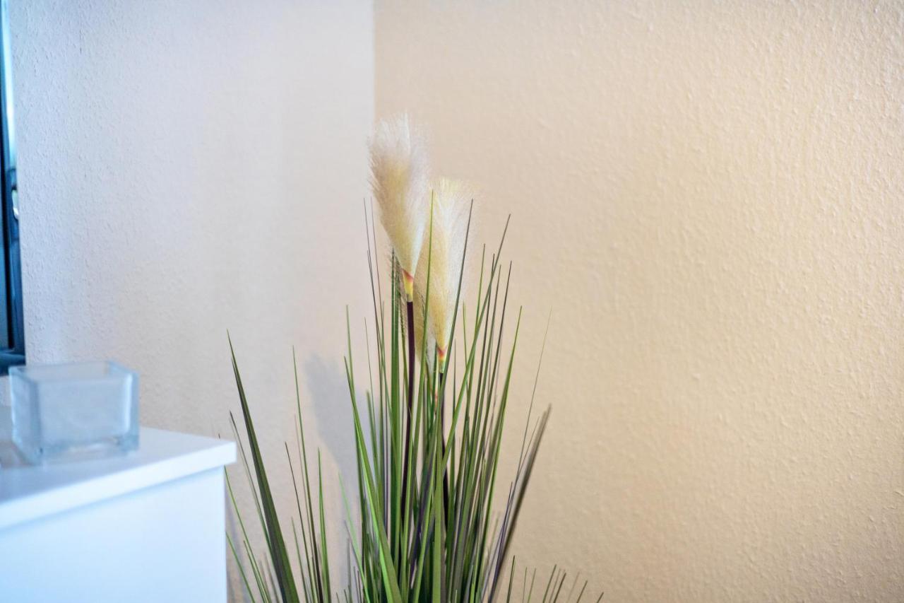 Apartmán Jung 1 Neukirch  Exteriér fotografie